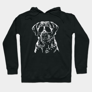 Funny Proud Chesapeake Bay Retriever sunglasses cool dog gift Hoodie